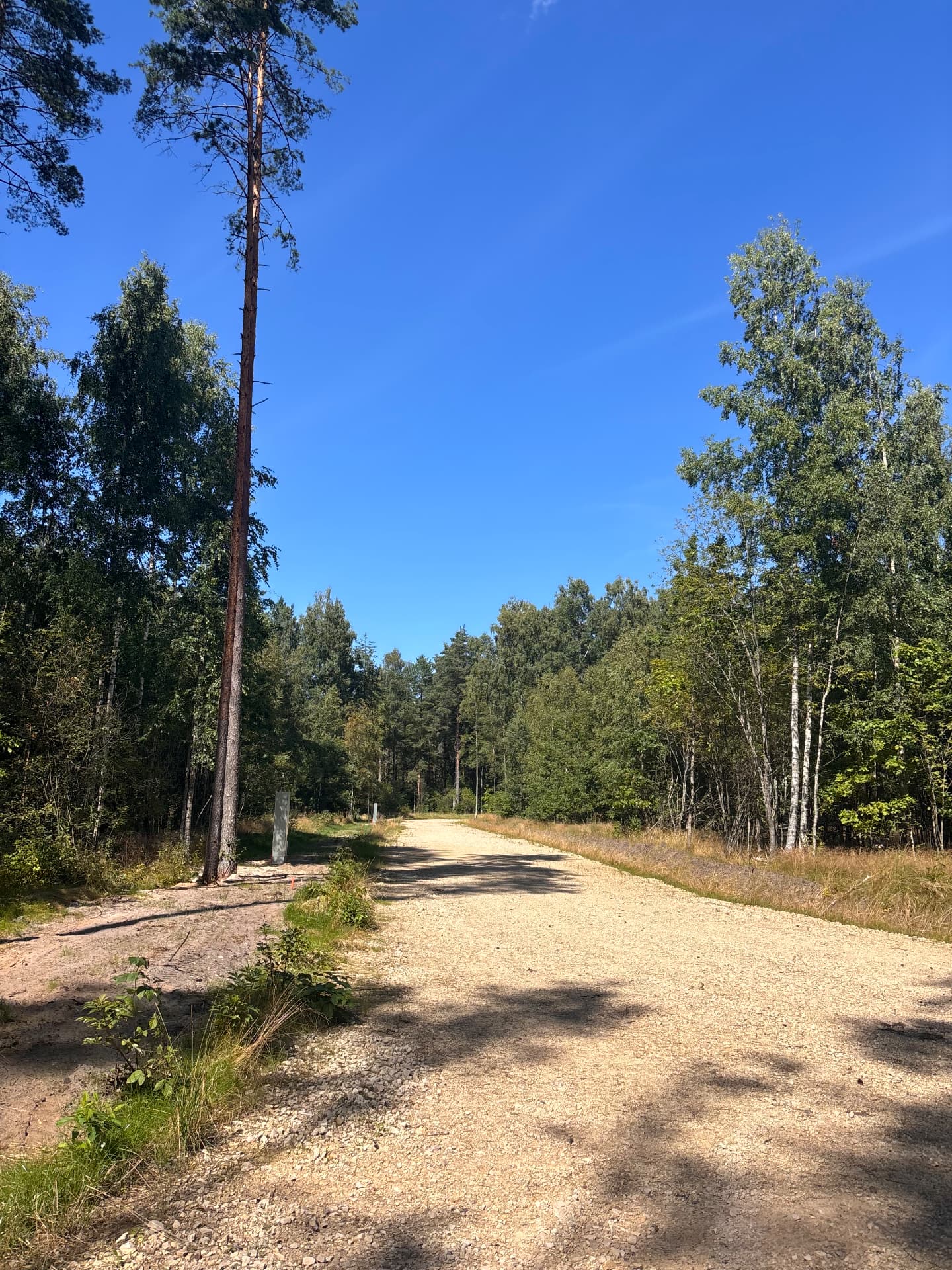 Newly built road with plot markers at CEDERI, Jurmala