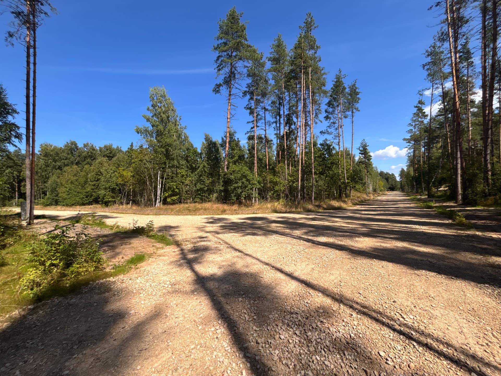 Junction of prepared gravel roads within the CEDERI plots